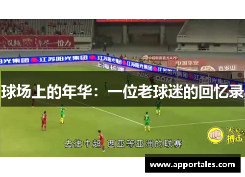 球场上的年华：一位老球迷的回忆录